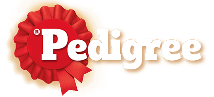 Pedigree's logo